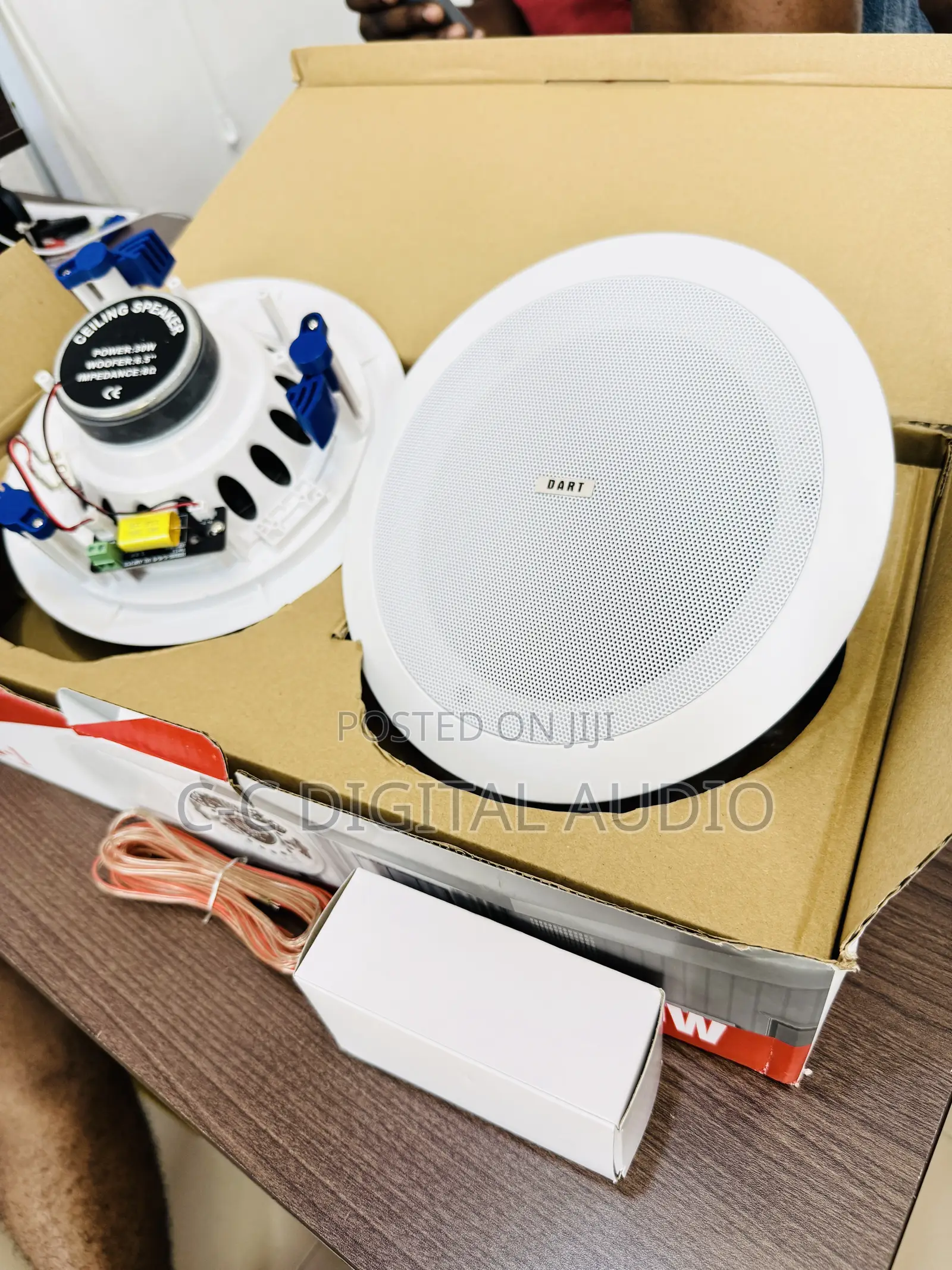 Dart 2in1 Bluetooth Ceiling Speaker