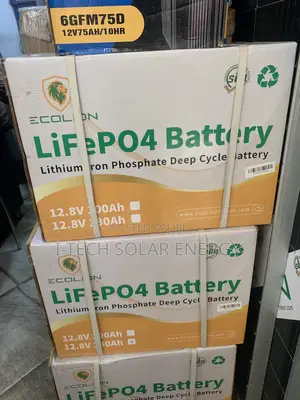100ams Ecolion Solar Lithium Battery