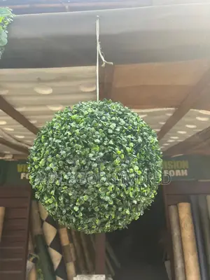 Ball Flower