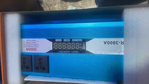 3000w Inverter Automatic 12/24 Volts Sachet Inverter