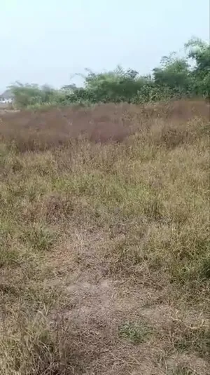 Buy Build Land at Millennium City Layout, Awka