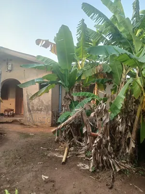 4bdrm Bungalow in Ayobo for sale