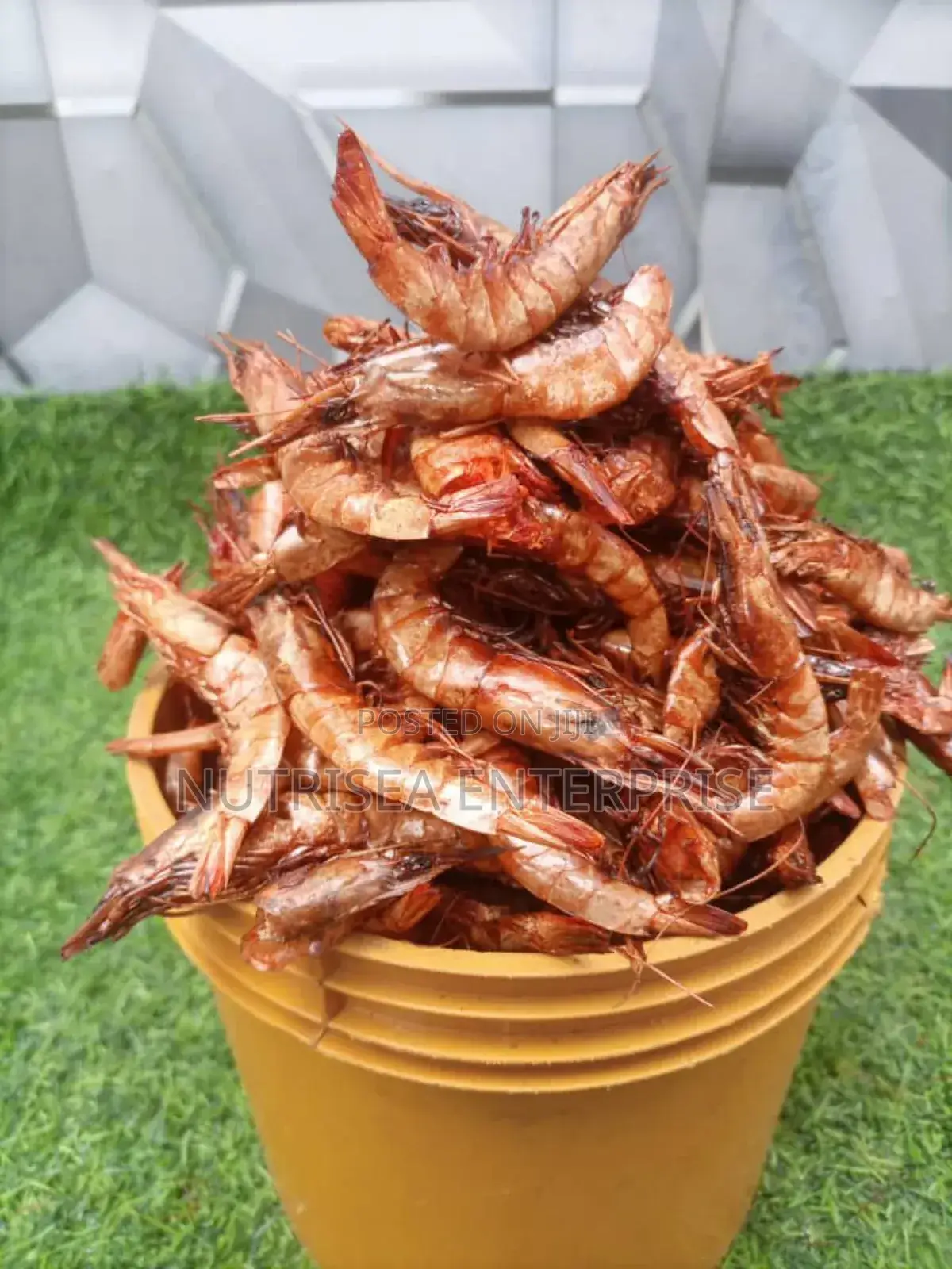 Premium Dried Prawn