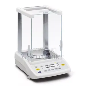 Analytical Balance Repair