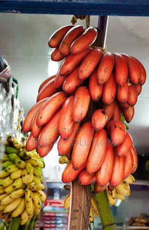 Red Banana. Best Type of Banana and Highly Nutritious.