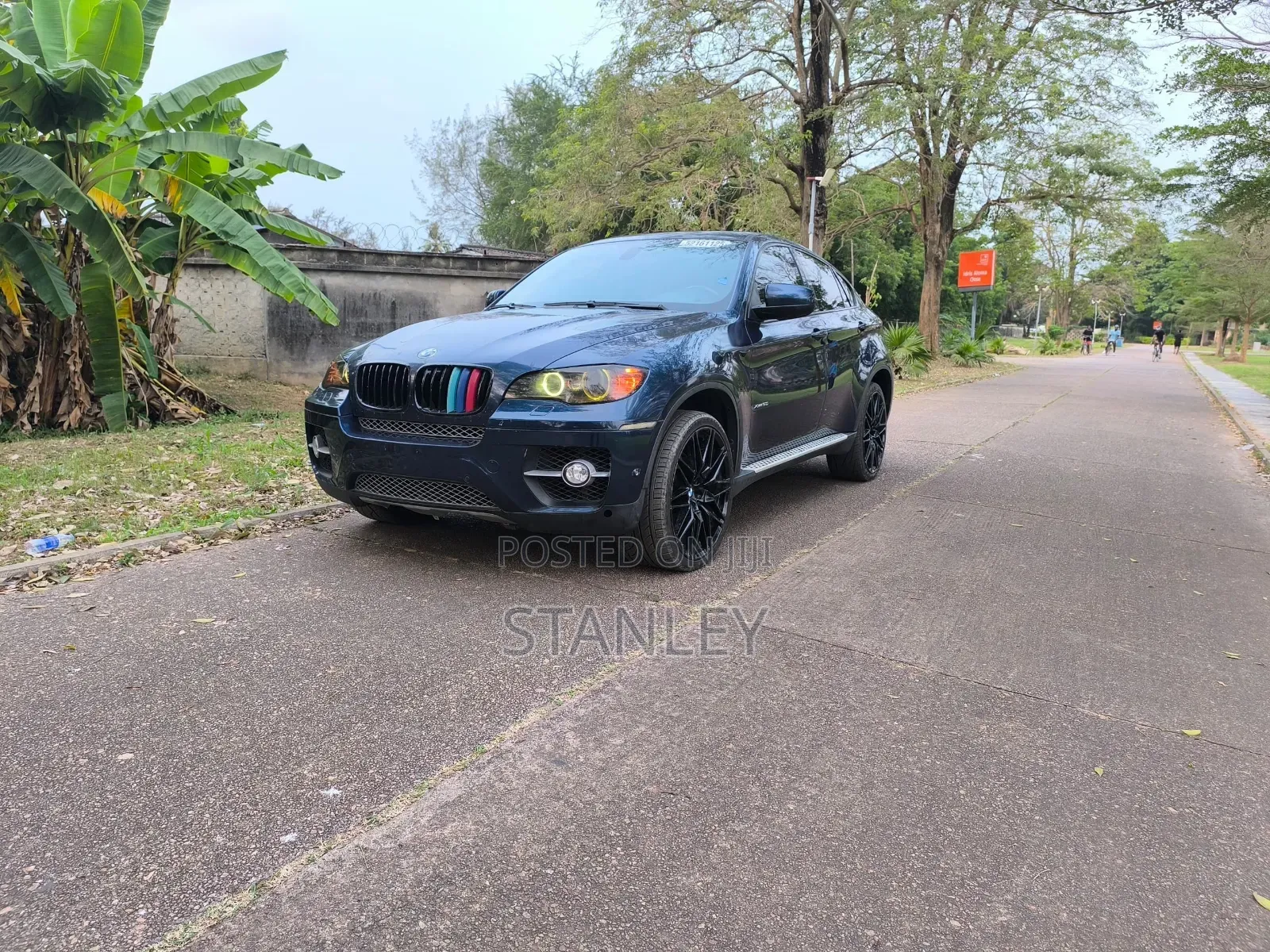 2013 BMW X6 xDrive50i 4x4 Coupe (4.4L 8cyl 8A)