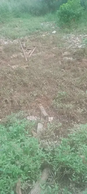 Full Plot of Land in Vip Estate, P T , Boys Town, Ipaja
