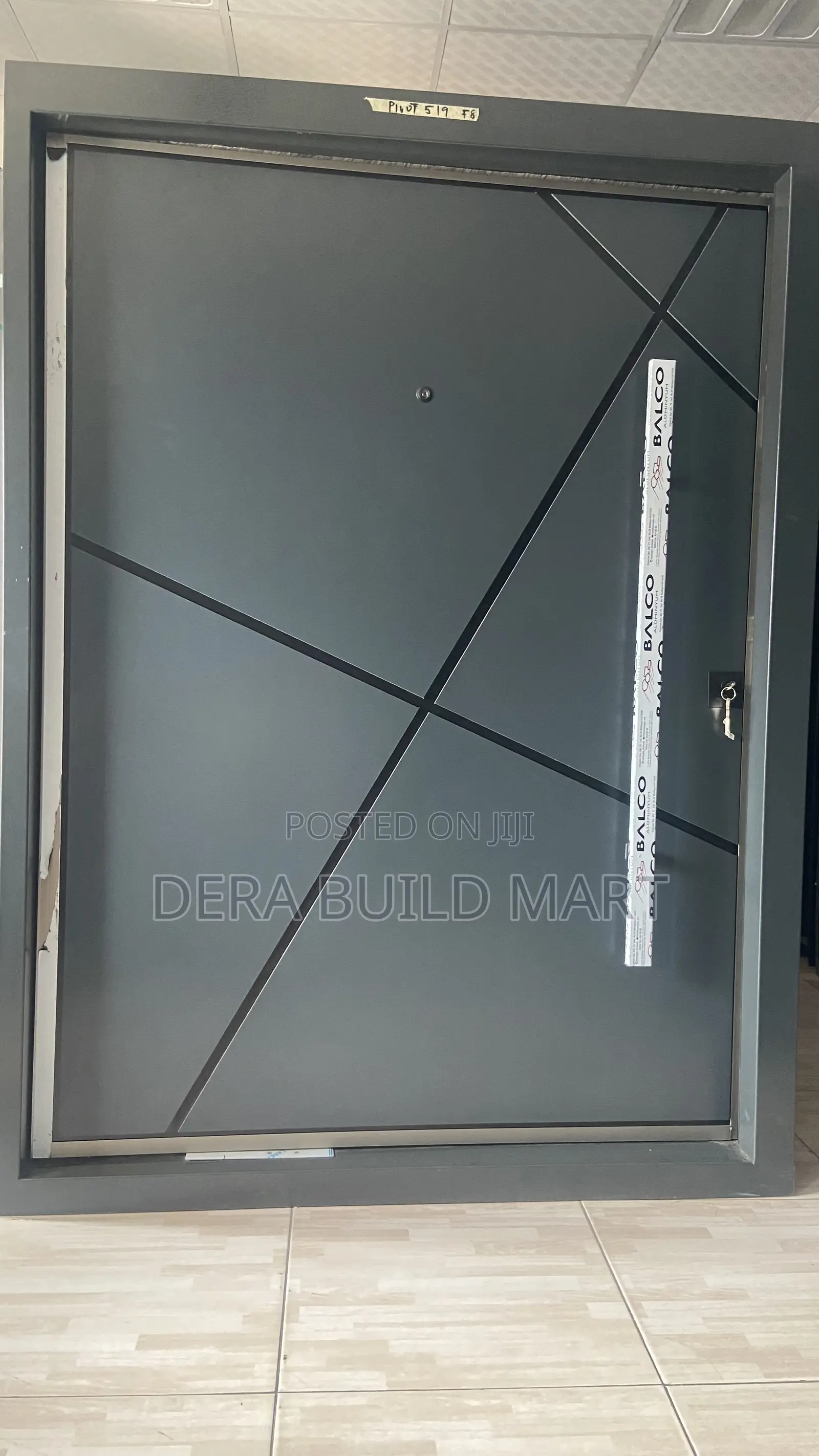 Grey Pivot Door