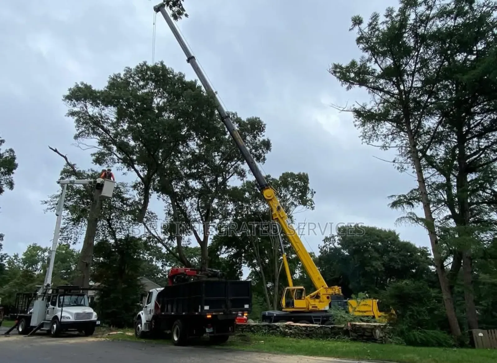 Mobile Crane Hire, Construction Equipment Hire