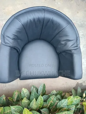 Office Executive Chair and Sofa