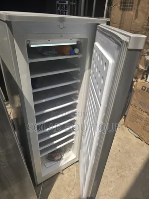 200l Ice Block Making Upright Solar Freezer