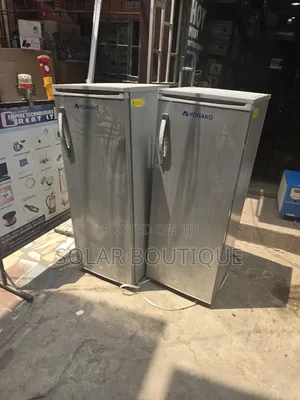 200l Ice Block Making Upright Solar Freezer