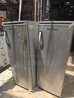 200l Ice Block Making Upright Solar Freezer