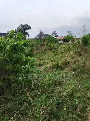 One Plot of Land With Fence and Gate for Sell