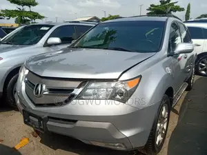 Acura MDX 2009 Silver
