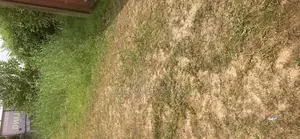 One Plot of Land for Sell at Eneka