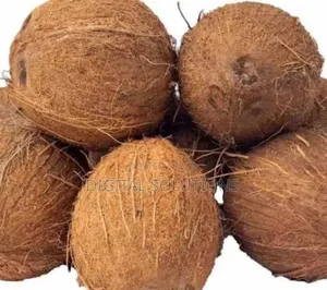Fresh Organic Coconut Per 7 Pcs.
