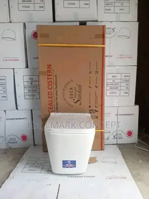 Concealed Water Closets Wall Hung