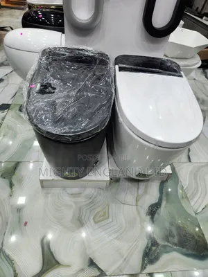 Executive Embossed One-Piece Ceramic Water Closet With Washbasin