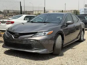 Toyota Camry LE (2.5L 4cyl 8A) 2019 Gray