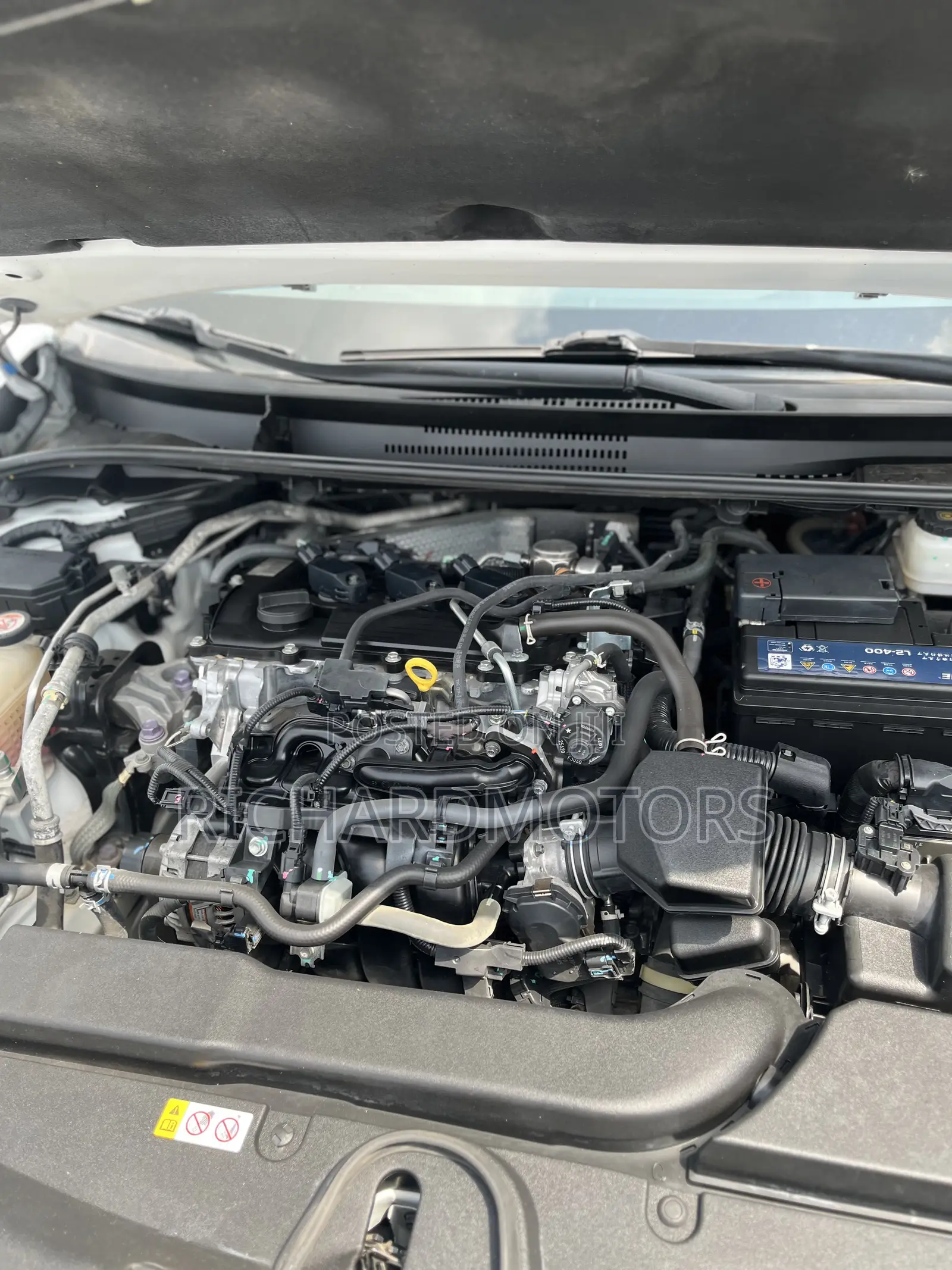Toyota Corolla 2022 White