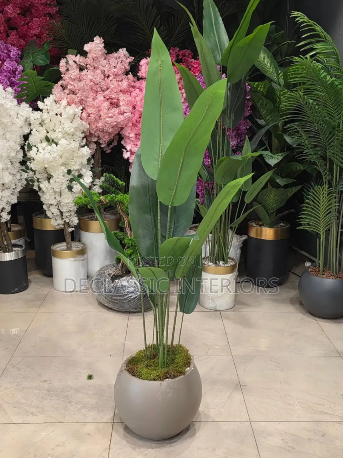 Potted Flowers