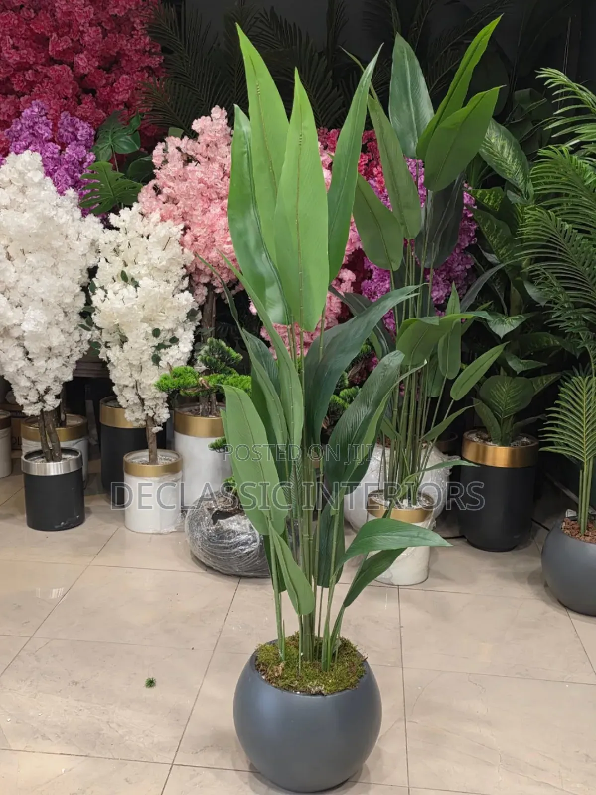 Potted Flowers