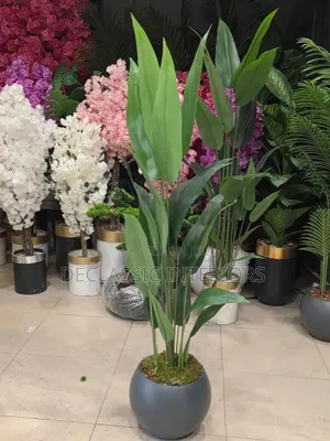 Potted Flowers