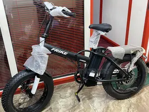 Frike Electric Bicycle