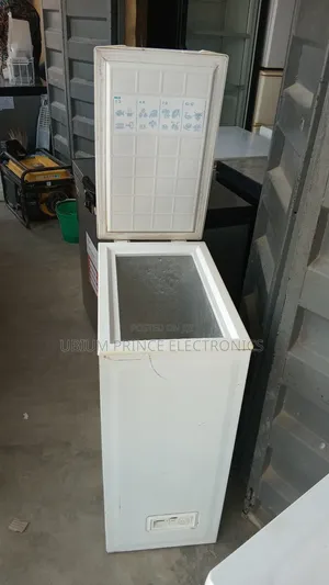 Mini Freezer