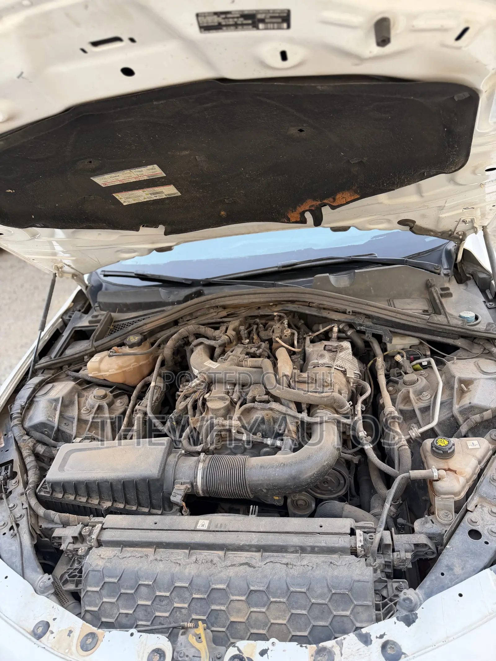 Car 2019 White