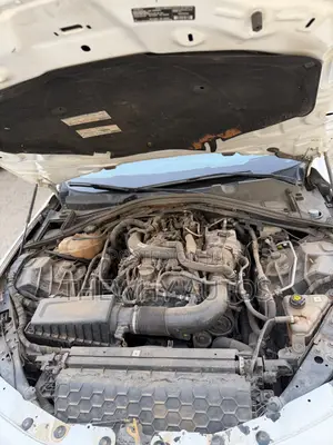 Car 2019 White