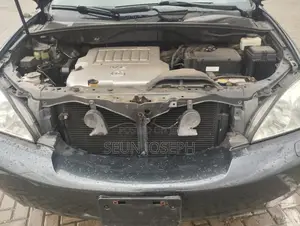 Lexus RX 350 4x4 2007 Gray