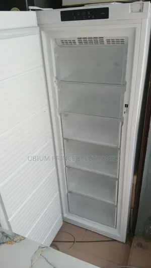 Standing Freezer