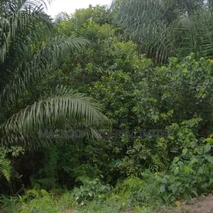 More.Than Half Plots of Land Available for Sale