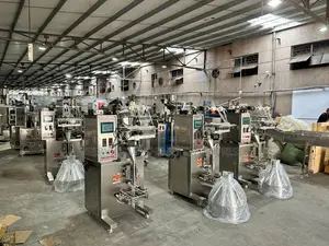 Automatic Peanut Packaging Machine
