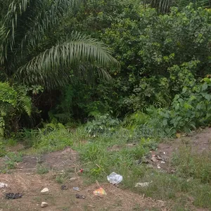 More Than Full Plot Along Ayobo Road