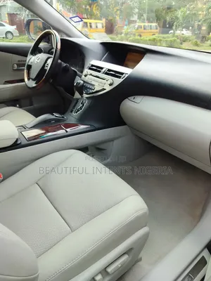 Lexus RX 350 2010 Gray