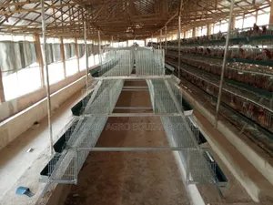Foreign Cold Dipped Galvanized a Type 96 Birds Capacity Battery Cages