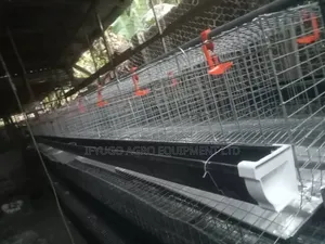 Local H Type Galvanized 96 Birds Capacity Battery Cages