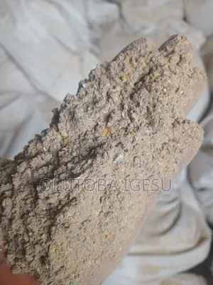 Maize Supplement