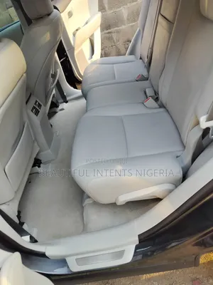 Lexus RX 350 2010 Gray