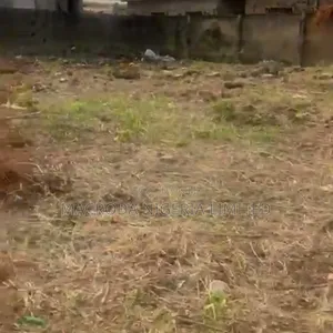 7 Plots of Land Selling Together at Okun Ajah