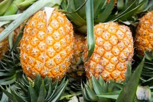 Fresh Pineapple Per 1 Pcs.