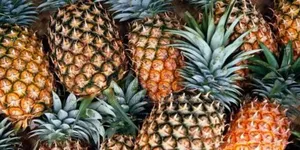 Fresh Pineapple Per 1 Pcs.