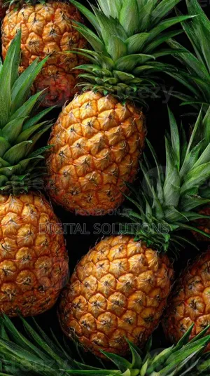 Fresh Pineapple Per 1 Pcs.