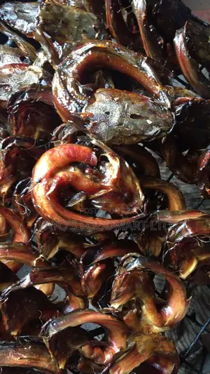 Export Standard Oven Dried Catfish