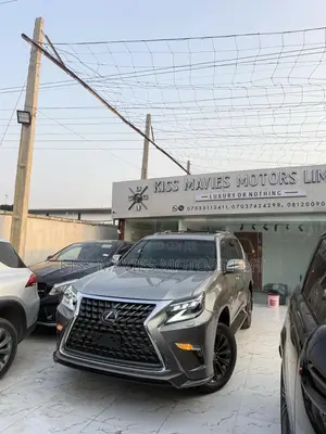 Lexus GX 460 AWD 2023 Gray