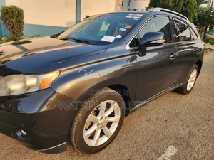 Lexus RX 350 2010 Gray