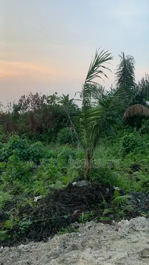50x50 Plot of Dry Land for Sale in Awoyaya, Lagos
